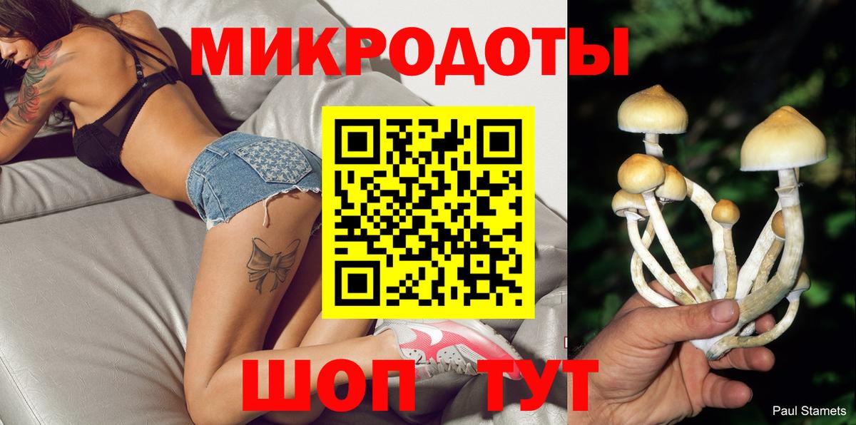 Псилоцибиновые грибы MAGIC MUSHROOMS  Вход с VPN  Галлюциногенные грибы мухоморы  Чебаркуль 