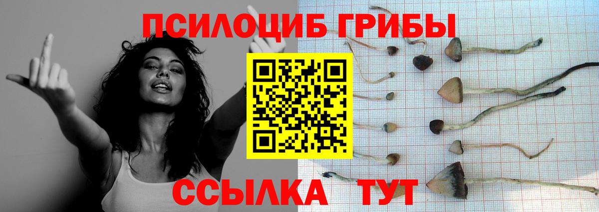 Галлюциногенные грибы Magic Shrooms Чебаркуль